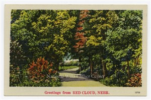 Image description is not available for PHO-264-800